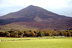 Hinter grünen Weideflächen und einer Reihe von Bäumen erhebt sich ein Berg. Seine Flanken sind kahl und der Gipfel des Berges ist außerordentlich symmetrisch.