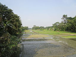 দাপুনিয়া বাজার থেকে তোলা সুতিয়া নদী