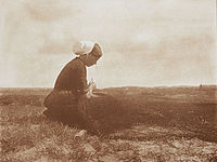 Alfred Stieglitz: Spravování sítě