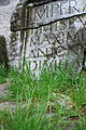 Roman incsription near Densuş Church