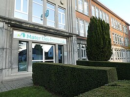 Mater Dei-Instituut