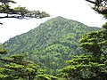 田代山から帝釈山への稜線から