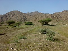 Fjella i Fujairah