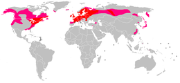 A kerelkevelű harmatfű elterjedése (piros = gyakori; rózsaszín = elszórtan található)