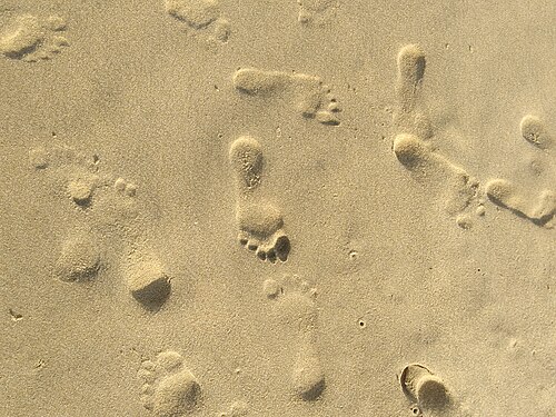 Track on sand