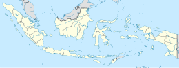 Lae-Lae di Indonesia