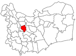 Location in Tulcea County