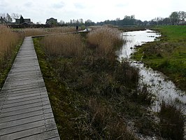 Natuurgebied tussen Nieuw Wolfslaar en de IJpelaar