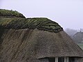 Reetdach mit Grassoden-First Kiefhuck Nordstrand 25.31" N, 8° 50' 13.66" O