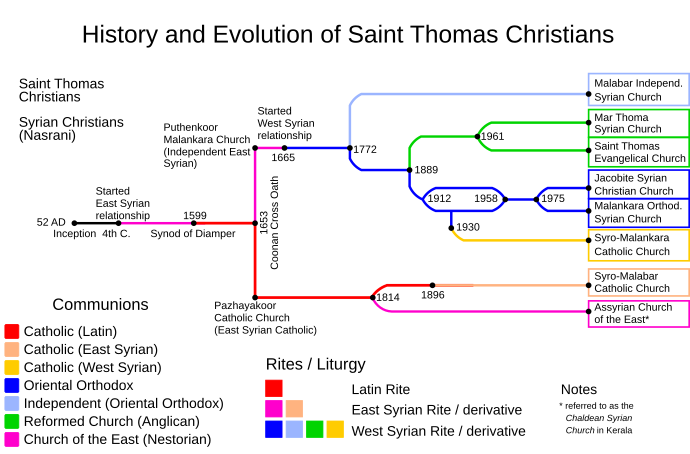 Schematic timeline