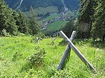 Sanierungsfläche im durch Wildschäden beeinträchtigten Schutzwald