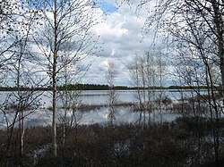 Järveä kaakkoisrannalta koilliseen katsottuna.