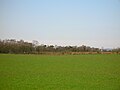 Auchentiber Moss from the site of the Cleikum Inn