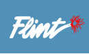 Drapeau de Flint