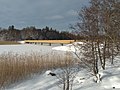 Le pont de l'ouest de Tarvo.