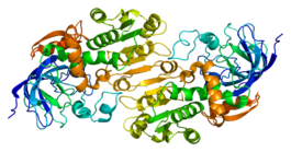 Kristallografische structuur van ADH5