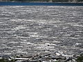 Tree mats on Spirit Lake, 2012