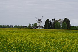 Koltza saila, Valtu, Rapla konderria