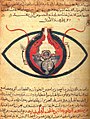 Image 2The eye according to Hunayn ibn Ishaq, c. 1200 (from Science in the medieval Islamic world)