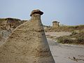 Dinosaur Provincial Park