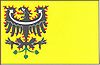 Flag of Zlonín