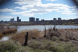 Looking south at Willow Lake