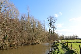 Het Gaverbos aan de oever van de Zwalm