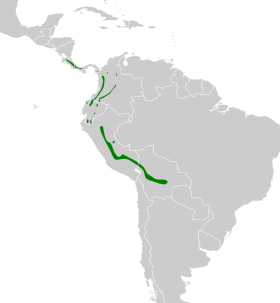 Distribución geográfica del ponchito ocráceo.