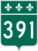 B391