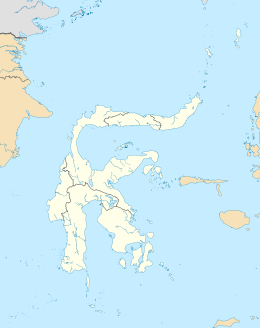 Lae-Lae di Sulawesi