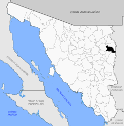 Location of the municipality in Sonora