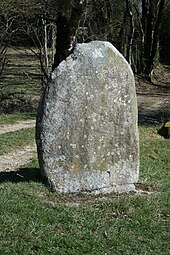 Statue-menhir du Plos n°2