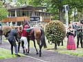 Trainer Markus Klug hilft Jockey Martin Seidl in den Sattel der zweitplatzierte Stute Amorella