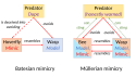 Batesian vs Müllerian mimicry diagram