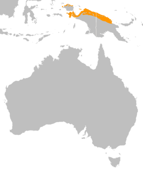 Description de l'image Casuarius unappendiculatus distribution map.png.