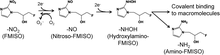 Chemical changes involved in the reduction and accumulation of FMISO in hypoxic tissue regions