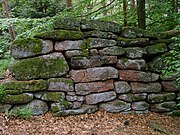 Une portion de l'énigmatique mur païen, qui entoure le mont Sainte-Odile.