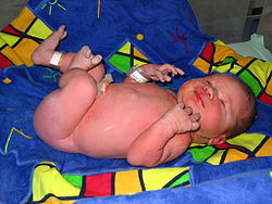 Newborn baby on blue blanket