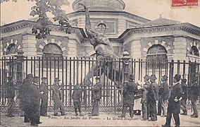 Un éléphant d'Afrique à la rotonde, dans les années 1900.