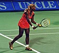 Miniatura per WTA Tour 2002