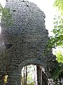 Ruines du Château de Binans