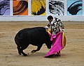 Enrique Ponce executes a chicuelina.