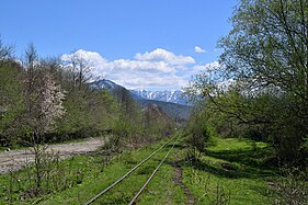 Forest railway