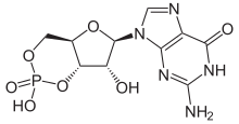 Structuurformule van cyclisch guanosinemonofosfaat