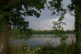 Image illustrative de l’article Chartreuse du Parc-en-Charnie