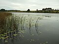 Gelvanė järv