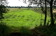 Abgetorfte Fläche, heute Wiese, im Hintergrund Neudorf-Platendorf