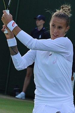 Polona Hercog (2016)