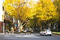 Jōzenji Street