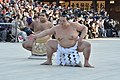 奉納土俵入りの稀勢の里関と太刀持ちの高安関（明治神宮 2017年1月27日撮影）